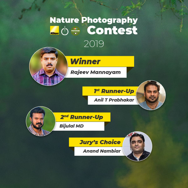 npc19-winners
